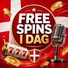 Alt du behøver at vide om casino bonusser