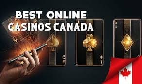 Top-rated Online Casinos Where to Play and Win Big -243315308 Top-rated Online Casinos Where to Play and Win Big -243315308