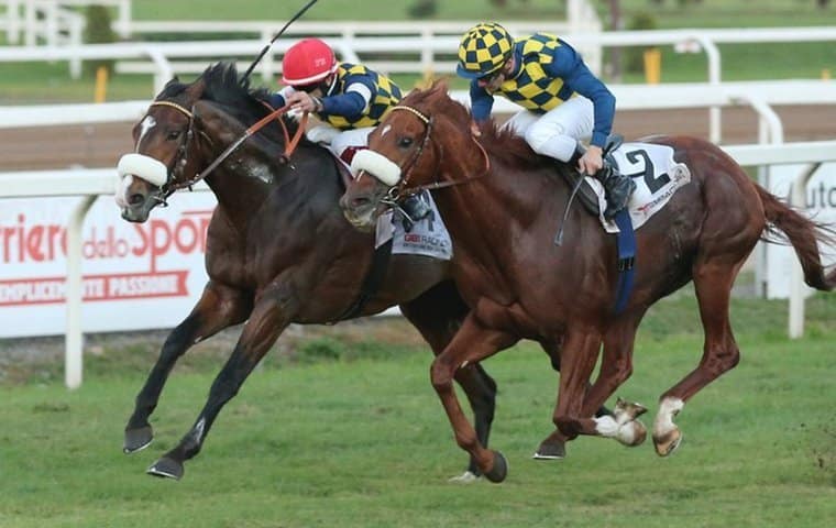Immagine: Rodeoslot Casino: scopri i migliori bonus e giochi da gioca ora!